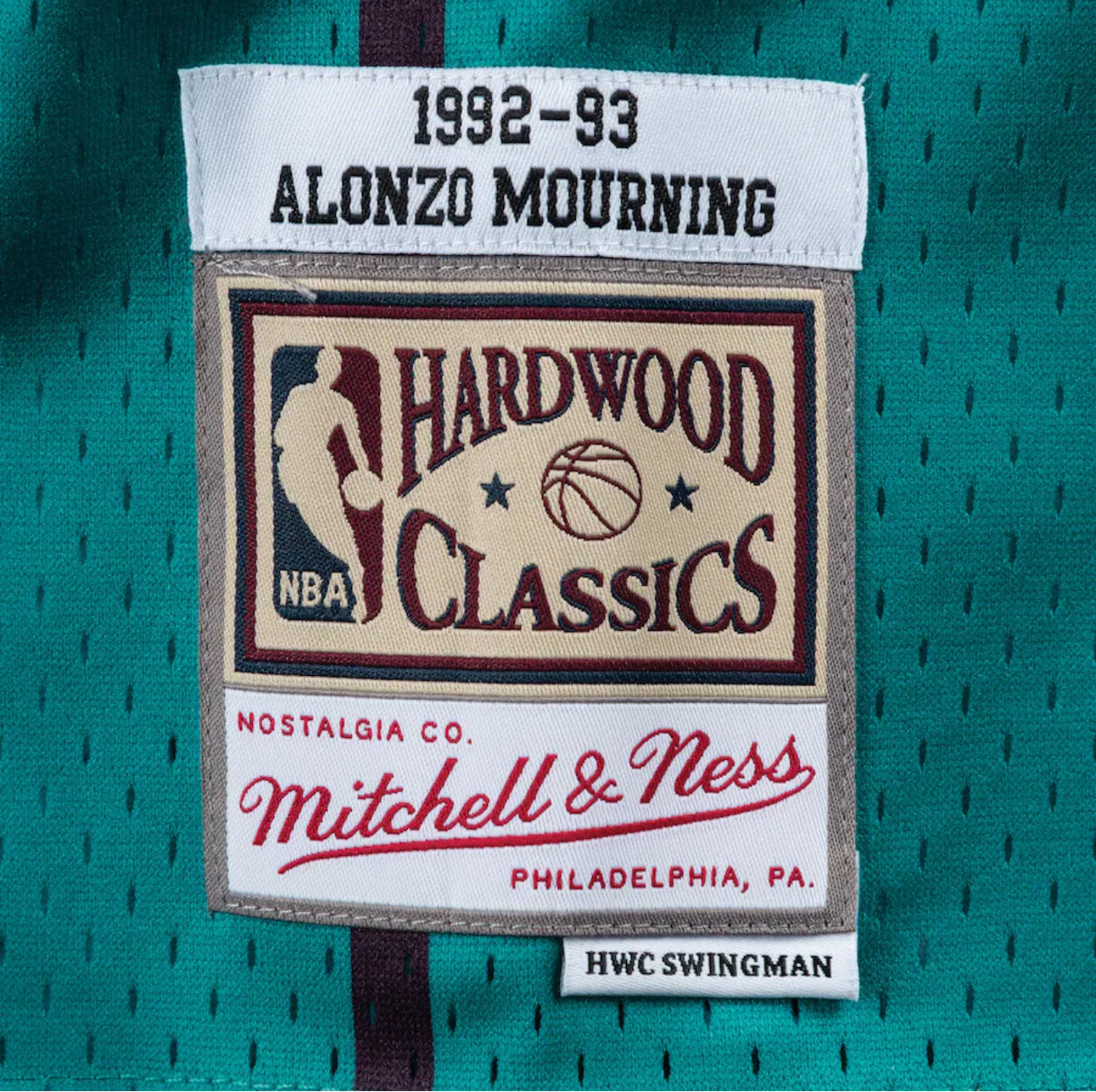 Men's Alonzo Mourning Teal Charlotte Hornets 1992/93 Hardwood Classics Swingman Player Jersey